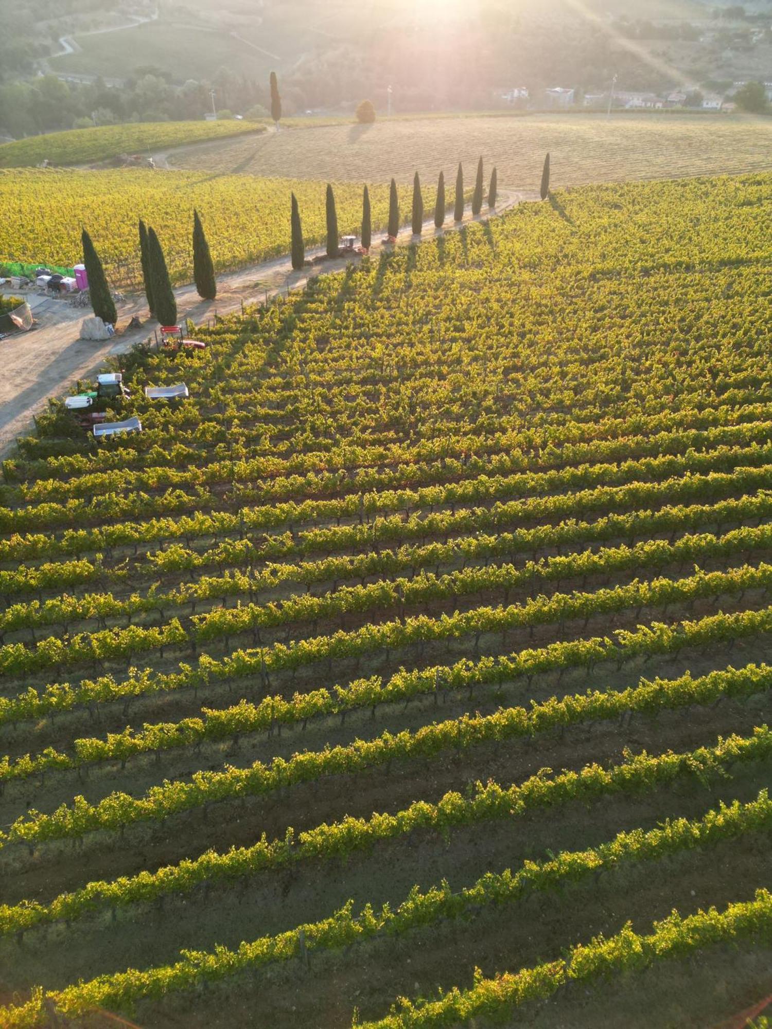 Viticcio Villa Greve in Chianti Exterior photo